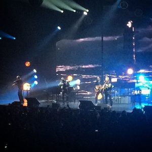 14564914_1870338856520335_5785121317632081920_n