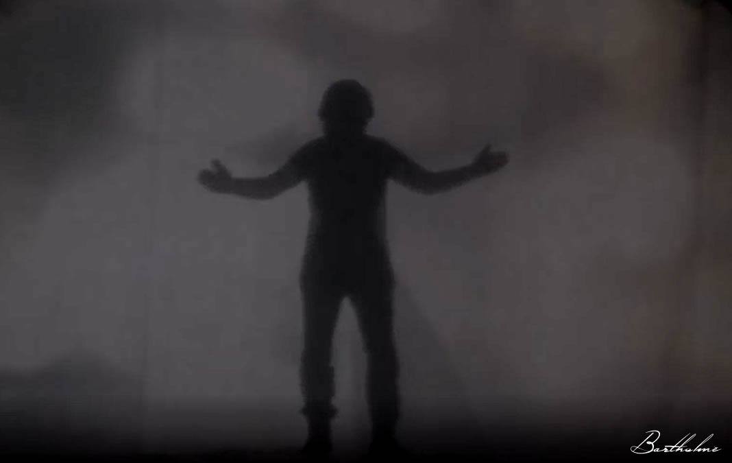 Concert Renaud Phénix Tour, Bruxelles le 08-11-2016-25