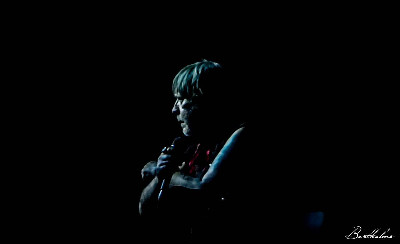 Concert Renaud Phénix Tour, Bruxelles le 08-11-2016-31