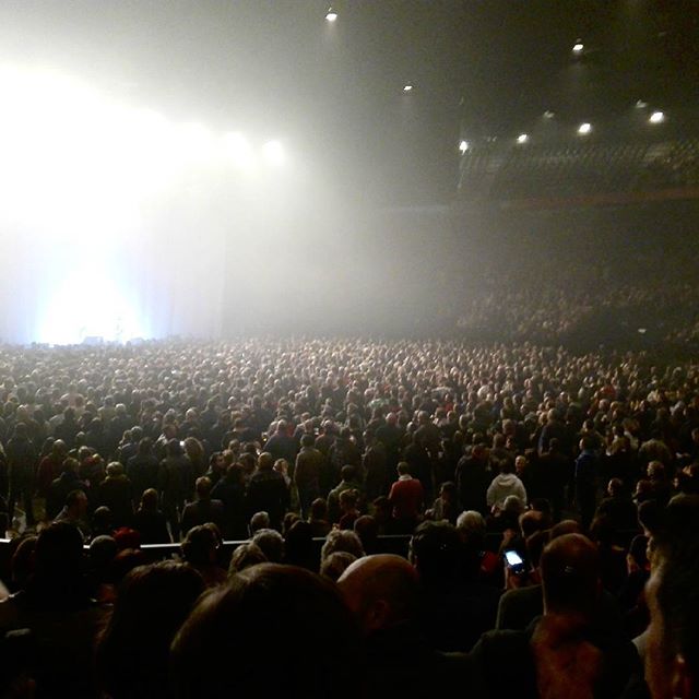 Concert Renaud Phénix Tour, Bruxelles le 08-11-2016-8