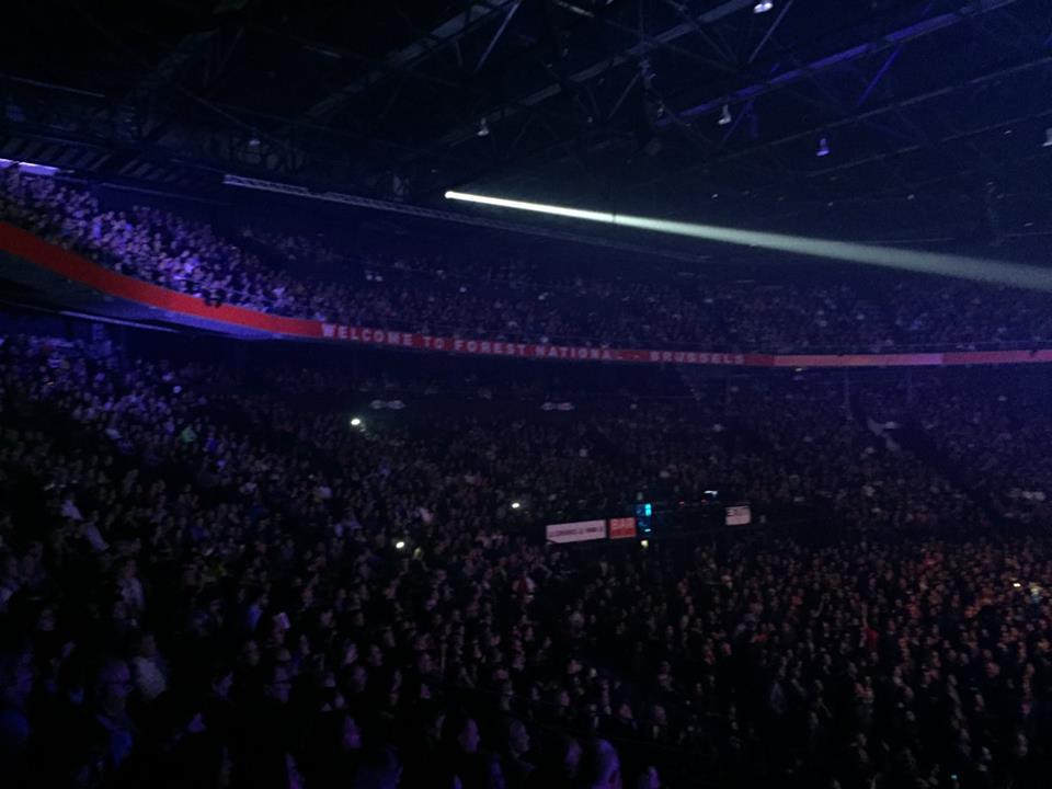 Concert Renaud Phénix Tour, Bruxelles le 08-11-2016-14