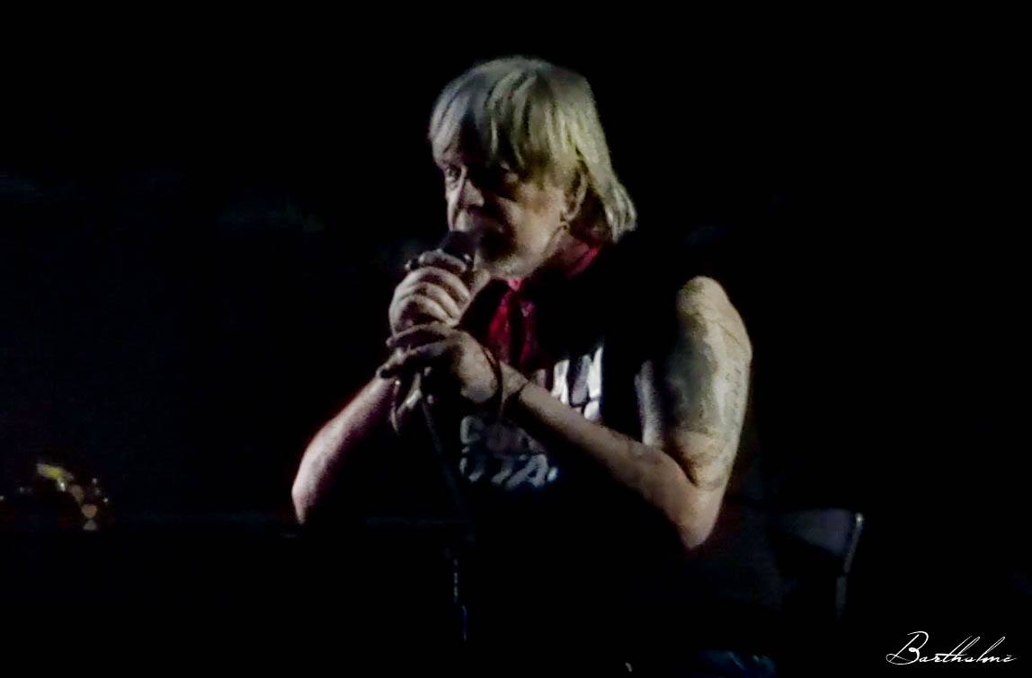 Concert Renaud Phénix Tour, Bruxelles le 08-11-2016-27