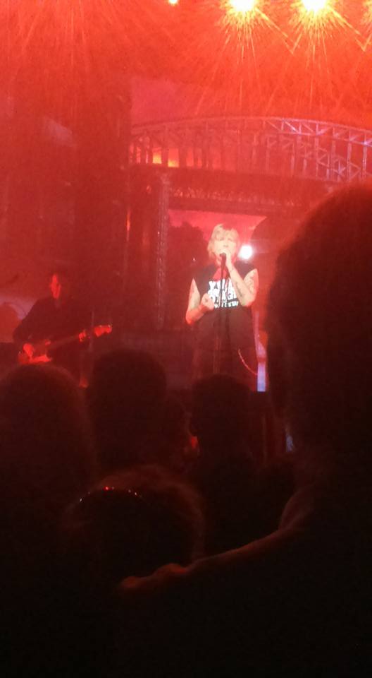 Concert Renaud Phenix Tour, Angers le 25-11-2016-5