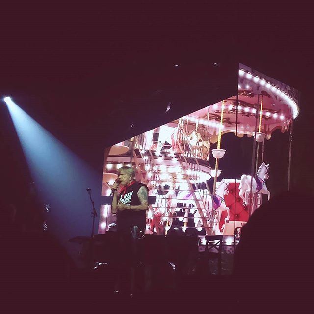 Concert Renaud Phenix Tour, Toulon le 17-12-2016-1