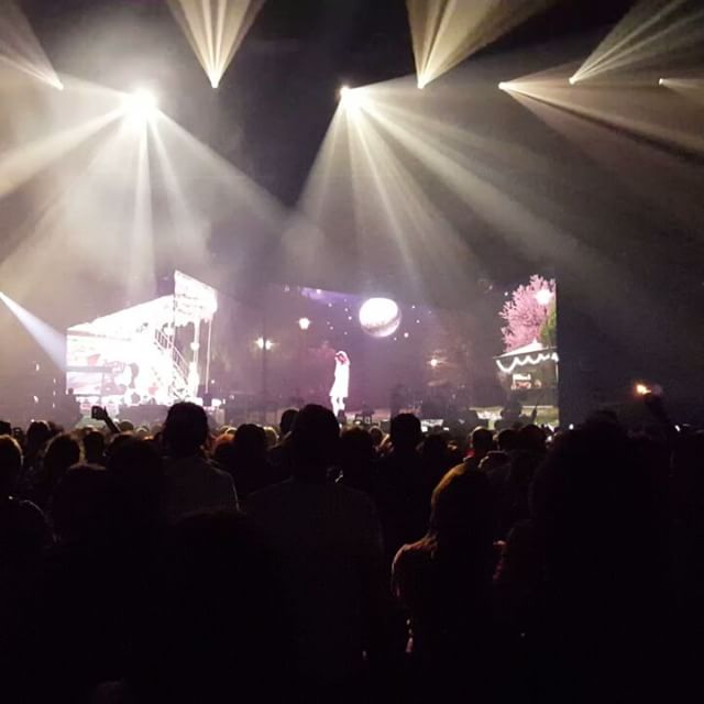 Concert Renaud Phenix Tour, Toulon le 17-12-2016-7