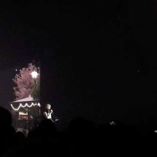 Concert Renaud Phenix Tour, Troyes le 06-12-2016-3