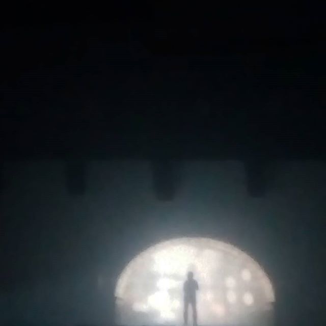 Concert Renaud Phenix Tour, Rennes le 06-01-2017-3