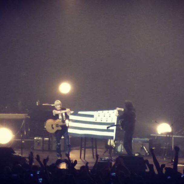 Concert Renaud Phenix Tour, Rennes le 06-01-2017-5