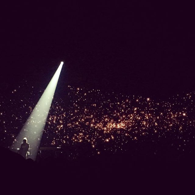 Concert Renaud Phenix Tour, Rennes le 06-01-2017-6