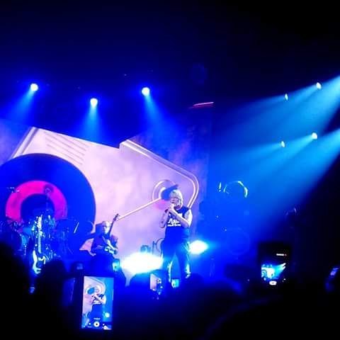 Concert Renaud Phenix Tour, Rennes le 07-01-2017-7